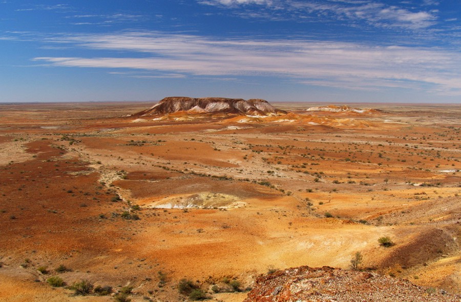 Cooper Peedy landscape