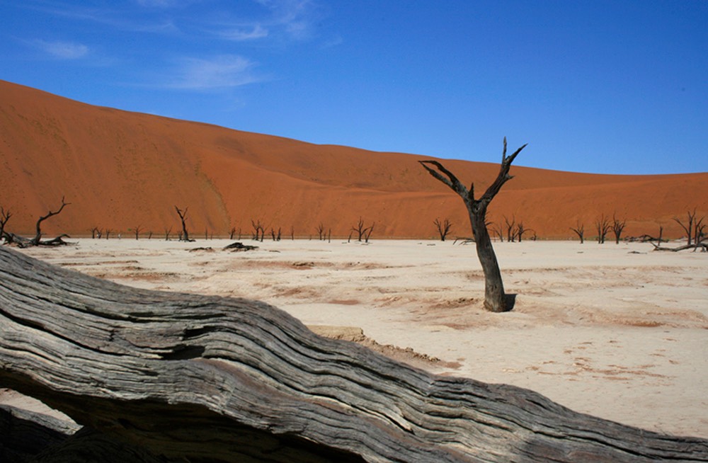Deadvlei