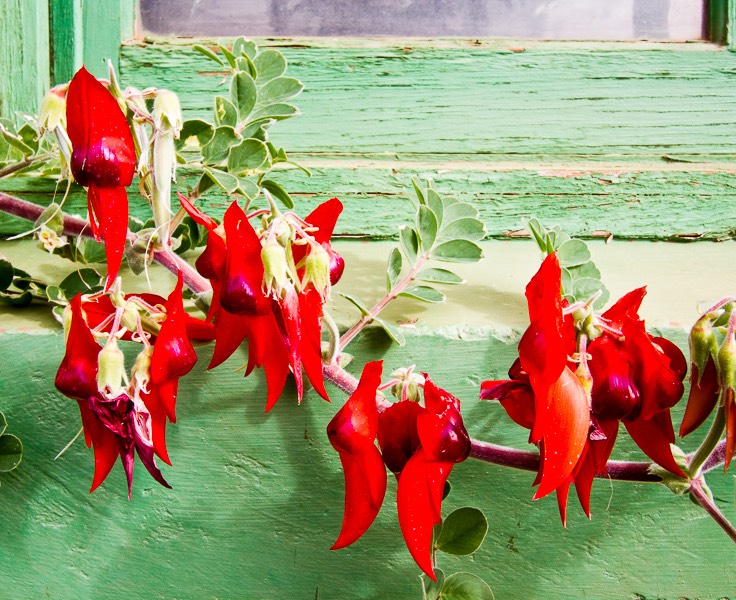 Goldfields Tourism Network-6111-2