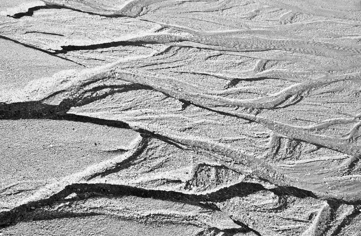 Landscape-2595