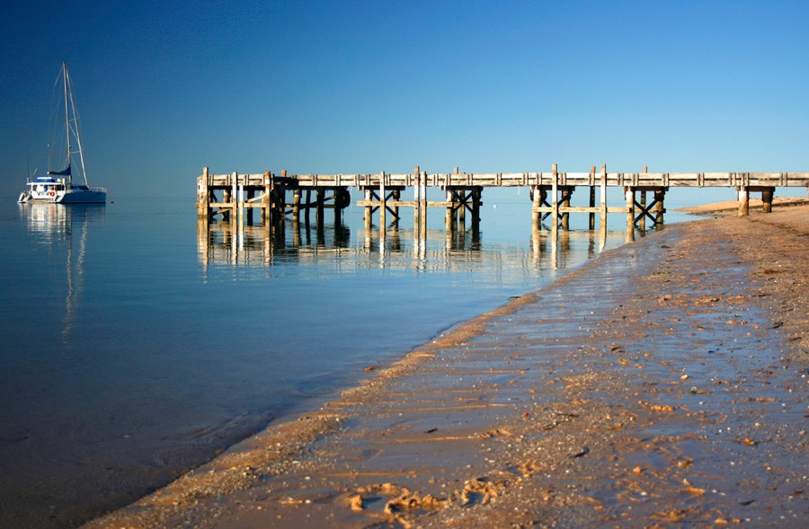 Monkey Mia jetty