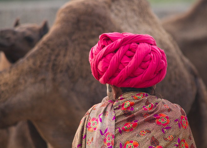 Pushkar India 2011-1777