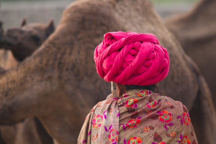 Pushkar India 2011-1777