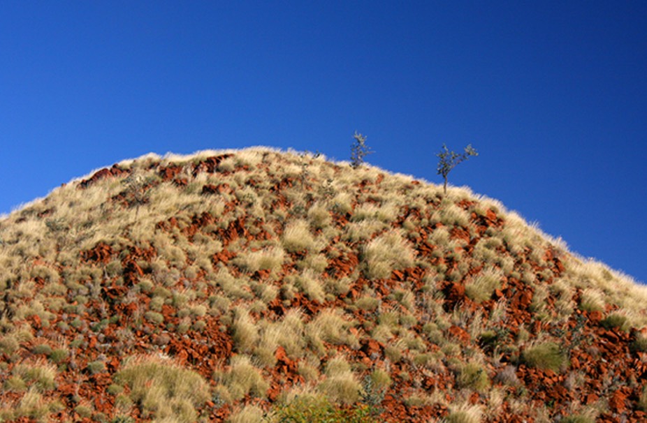 Spinifex outcrop