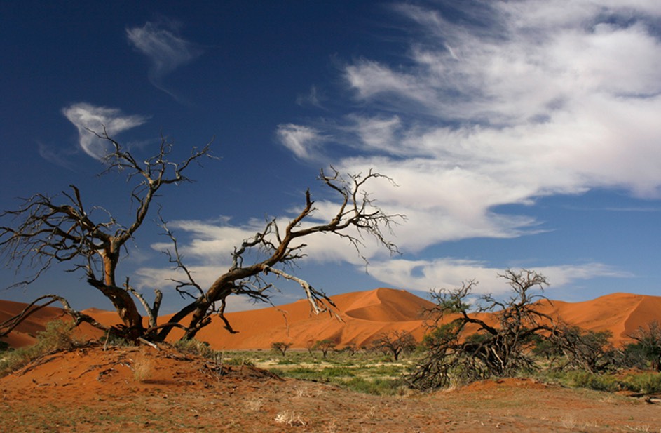 Sussesvlei landscape