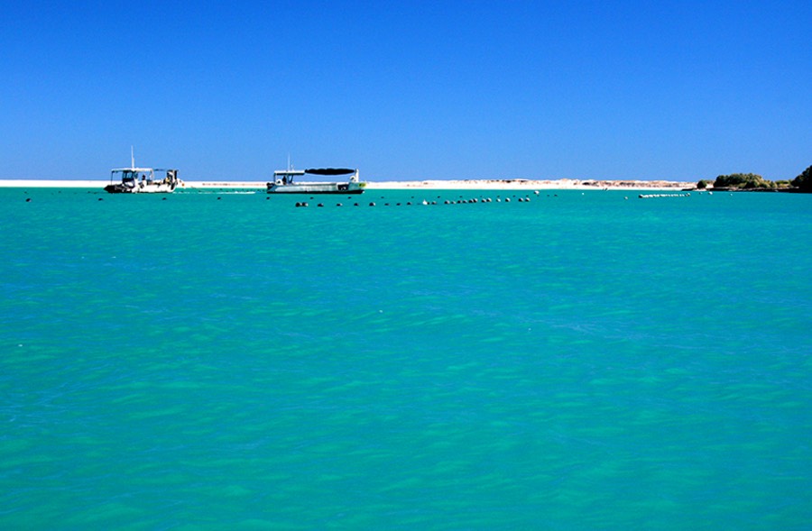 Willie Creek